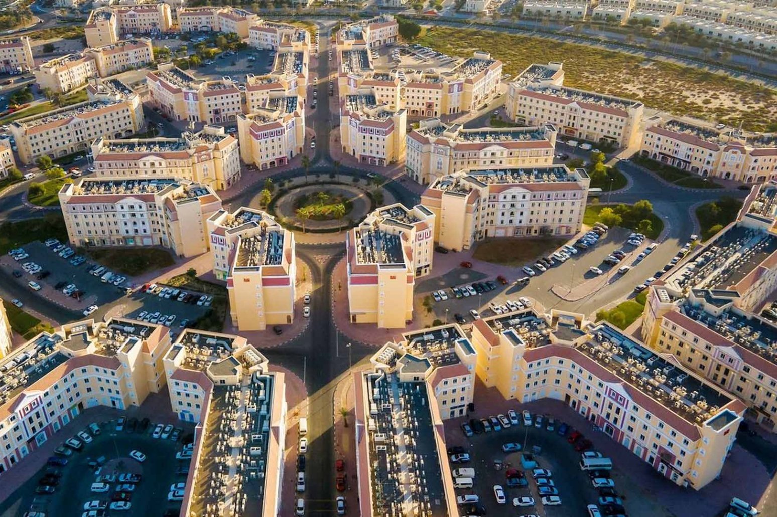 Pest Control International City - Pest Control Dubai
