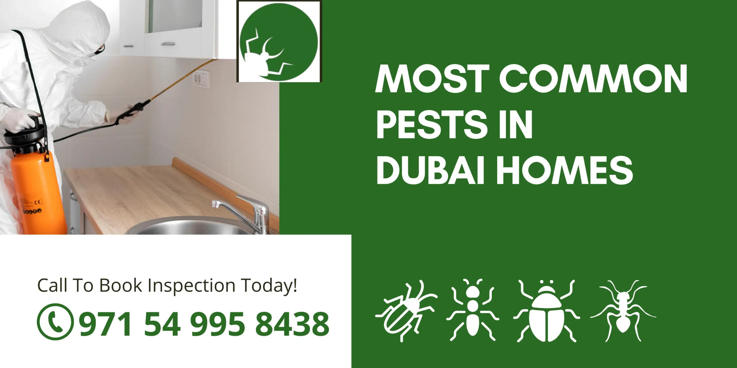 Most Common Pests in Dubai Homes