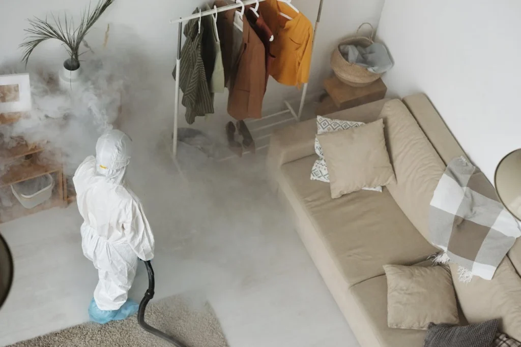 One Treatment is Enough for Termites