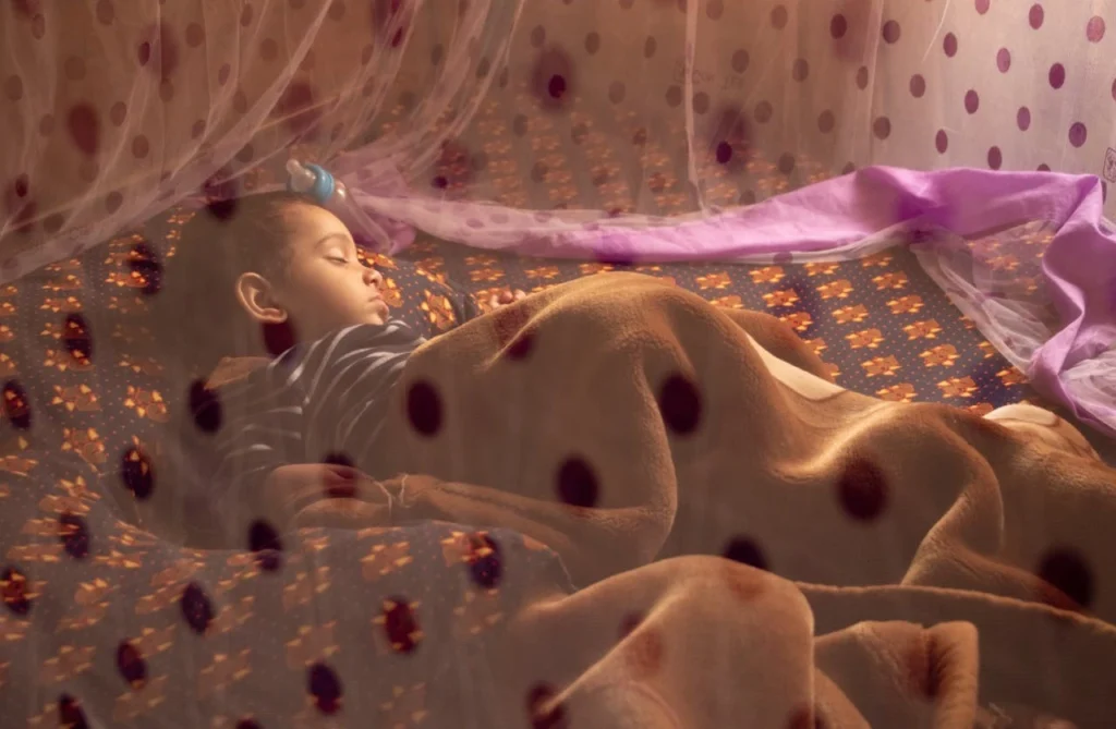 Use Mosquito Nets Everywhere