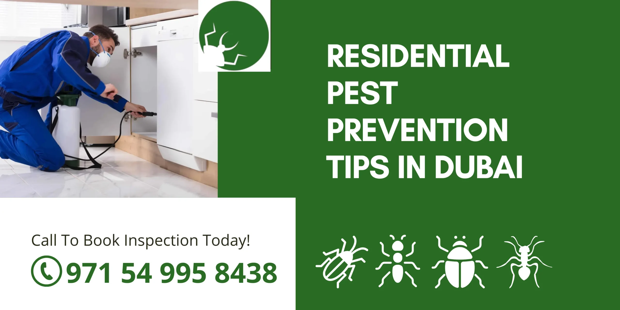 Residential Pest Prevention Tips in Dubai
