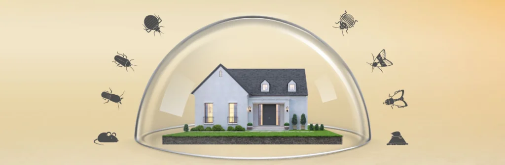 Seasonal Pest control & management