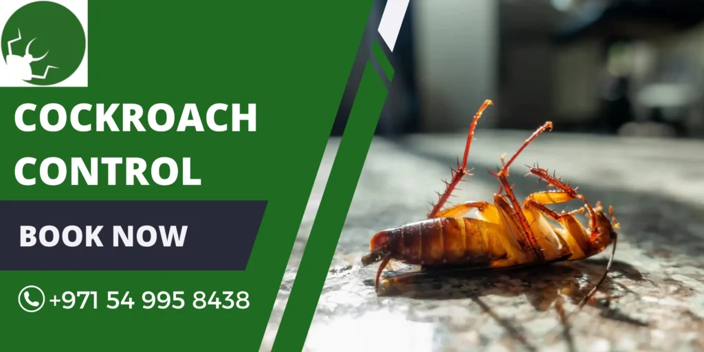 Cockroach Control Dubai
