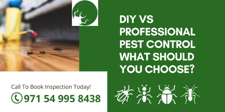 DIY vs Professional Pest Control – What Should You Choose?