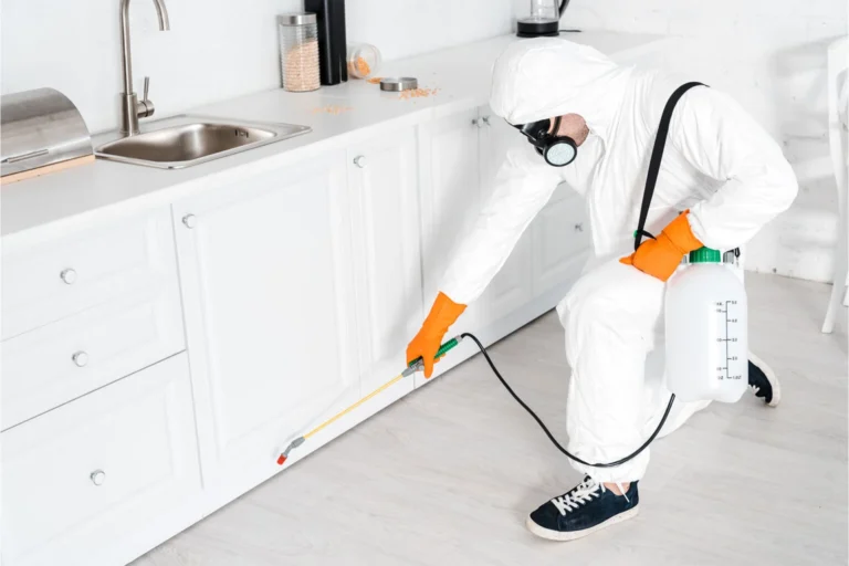Pest control technician applying gel bait near kitchen cabinets in Dubai