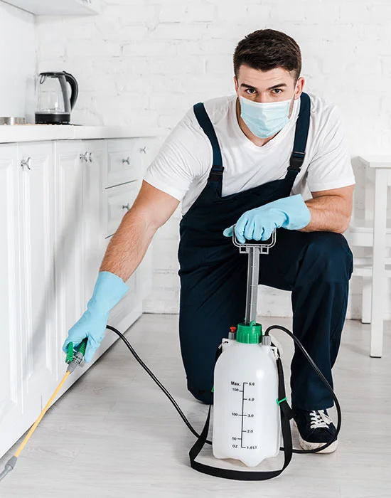 Fully integrated Pest Control Dubai
