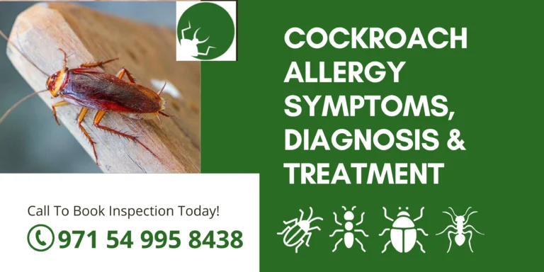 Guide on Cockroach Allergy: Symptoms, Diagnosis & Treatment