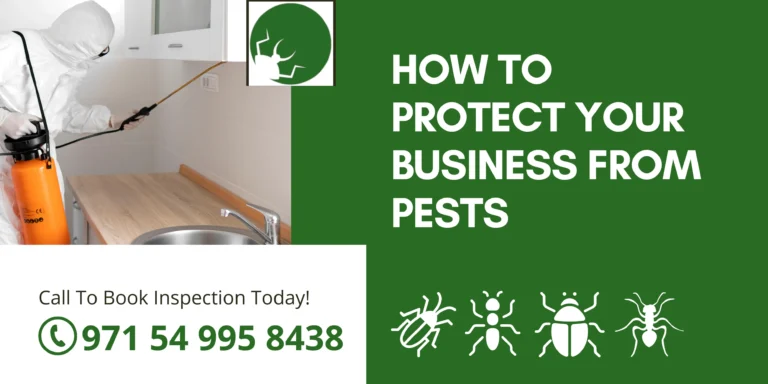 How to protect your business from pests