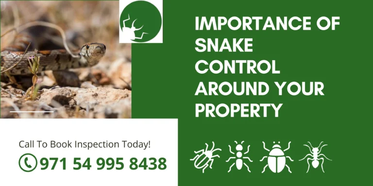 Importance of Snake Control Around Your Property in Dubai