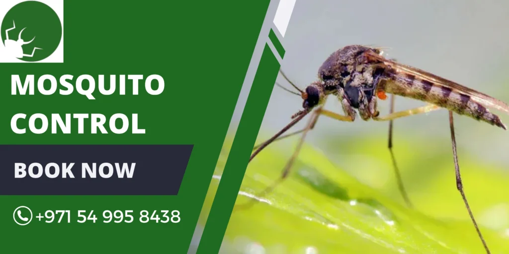 Mosquito Pest Control in Dubai