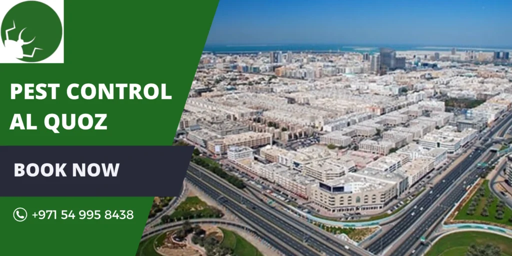 Pest Control Al Quoz
