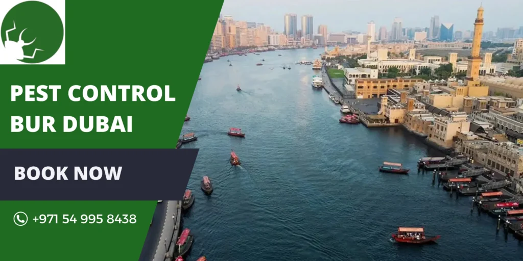 Pest Control Bur Dubai