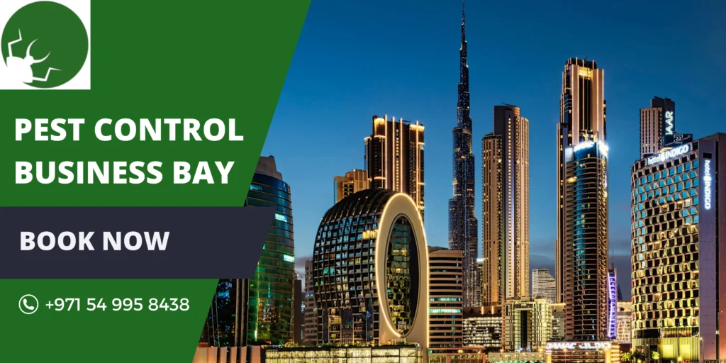 Pest Control Business Bay