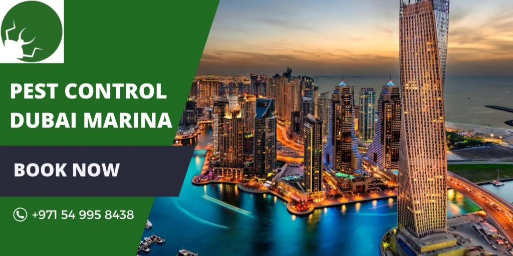 Pest Control Dubai Marina