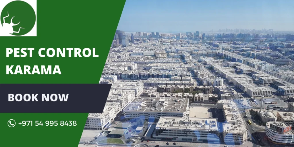 Pest Control Karama