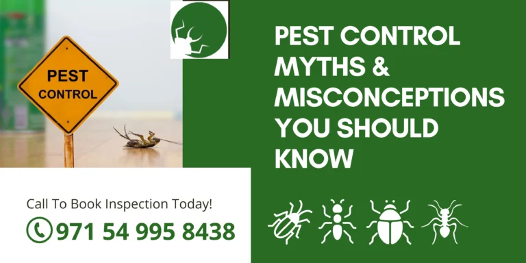 Pest Control Myths & Misconceptions You Should Know