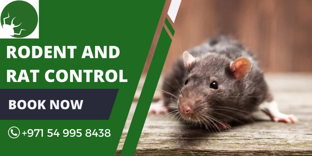 Rodent and Rat Control Dubai