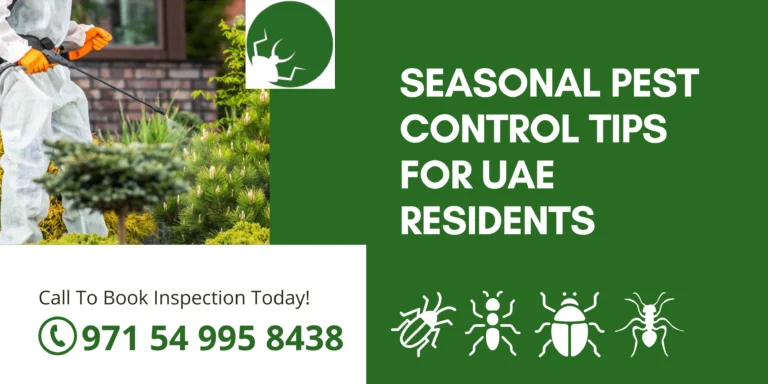 Seasonal Pest Control Tips | Guide for UAE Residents