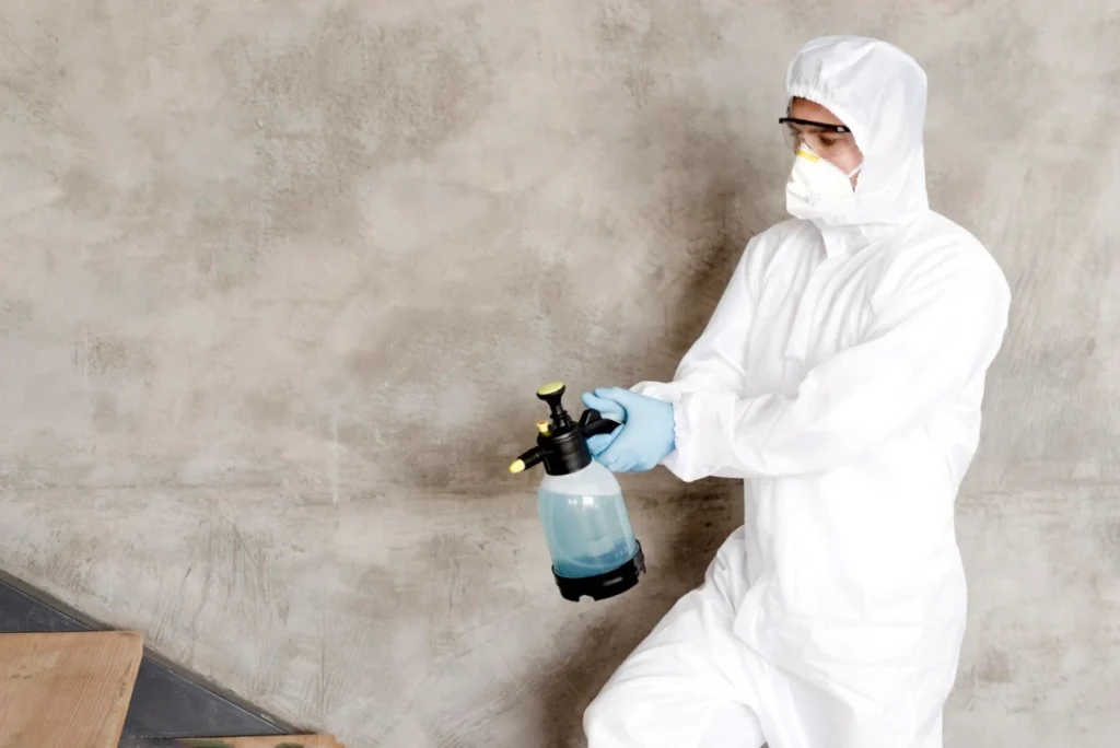 Simple guide to residential vs commercial pest control