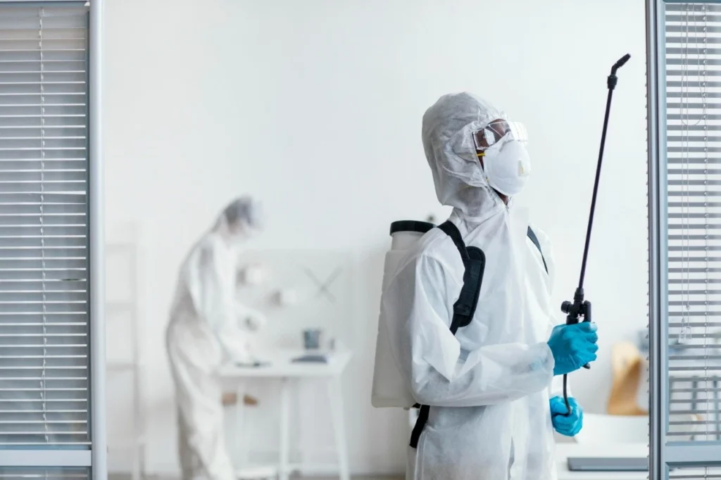 Benefits of Scheduling Pest Control for Your Space