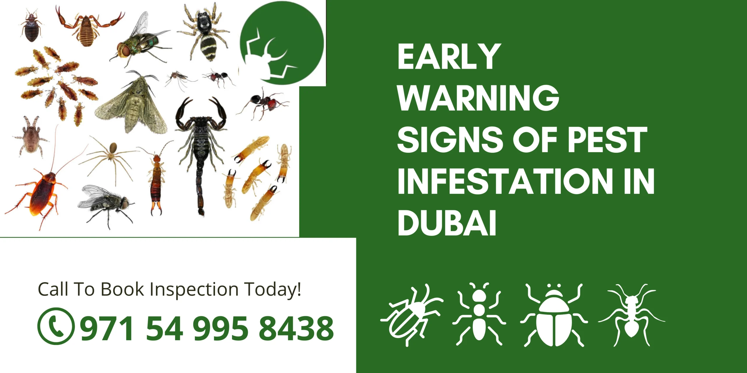 Early Warning Signs of Pest Infestation in Dubai