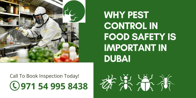 Why Pest Control in Food Safety is Important in Dubai