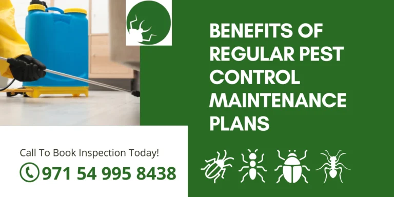 Benefits of Regular Pest Control Maintenance Plans
