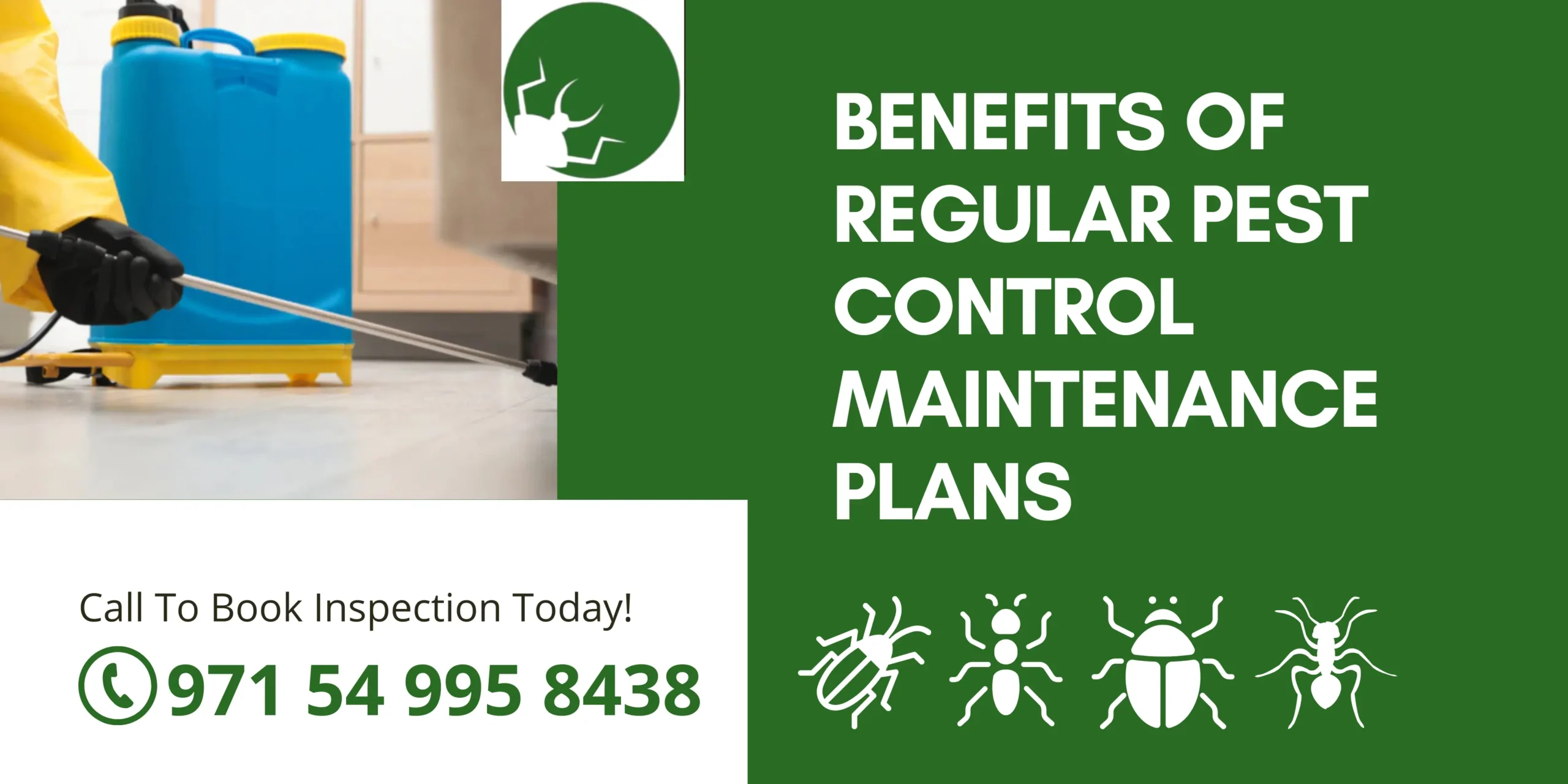Benefits of Regular Pest Control Maintenance Plans