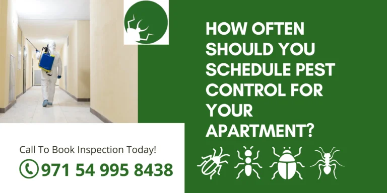 How Often Should You Schedule Pest Control for Your Apartment?