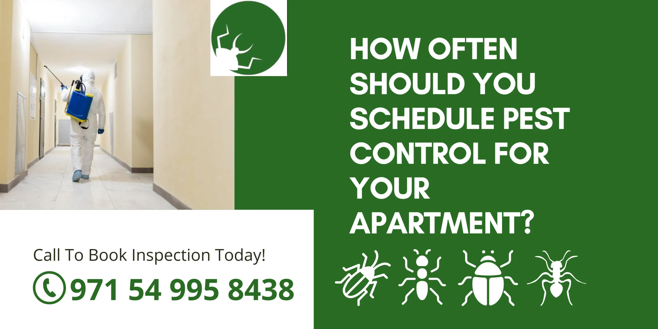How Often Should You Schedule Pest Control for Your Apartment?