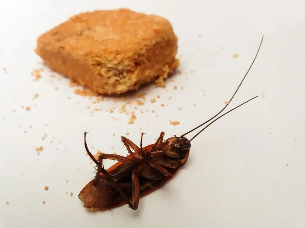 Food and Waste Areas