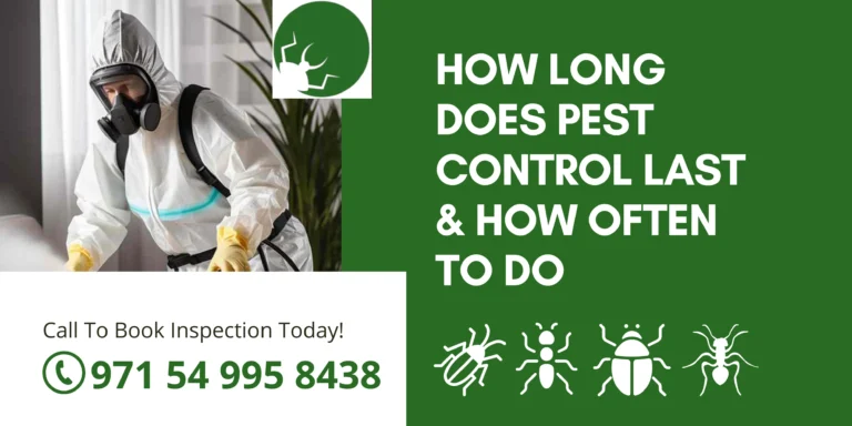 How Long Does Pest Control Last & How Often to Do