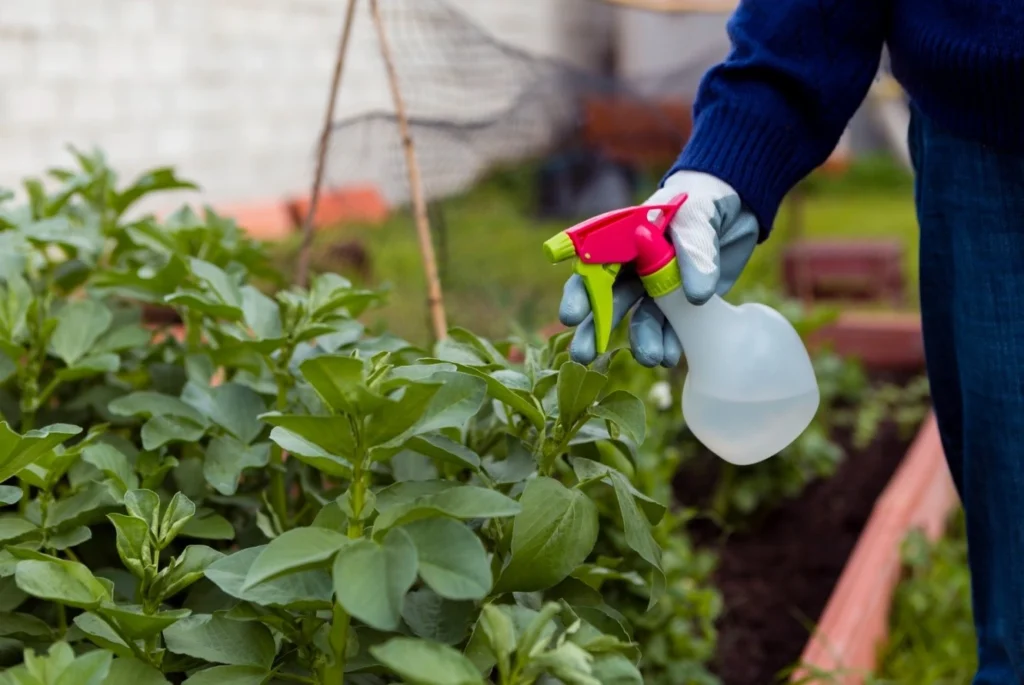 Take Steps Toward Long-Term Prevention