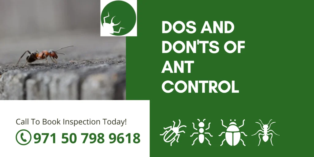 Dos and Don'ts of Ant Control