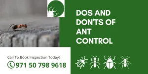 Dos and Don'ts of Ant Control