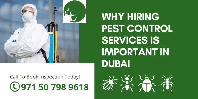 Why Hiring Pest Control Services Is Important in Dubai?