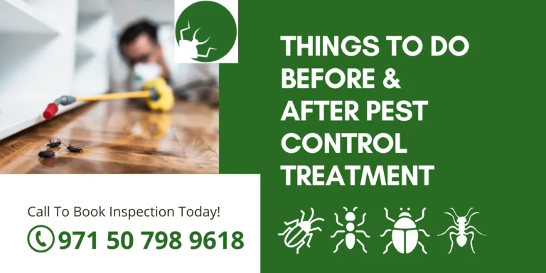 Things to Do Before & After Pest Control Treatment in Dubai