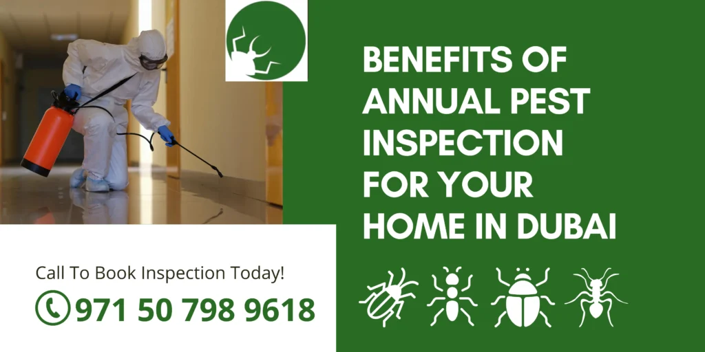 Benefits of Annual Pest Inspection for Your Home in Dubai
