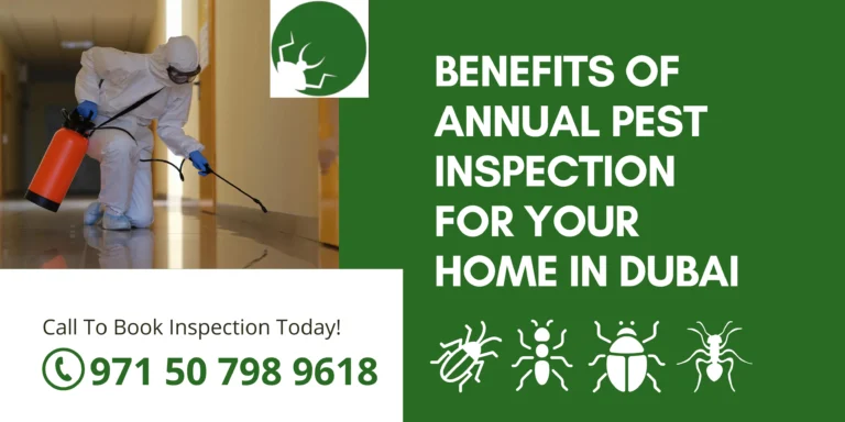 Benefits of Annual Pest Inspection for Your Home in Dubai