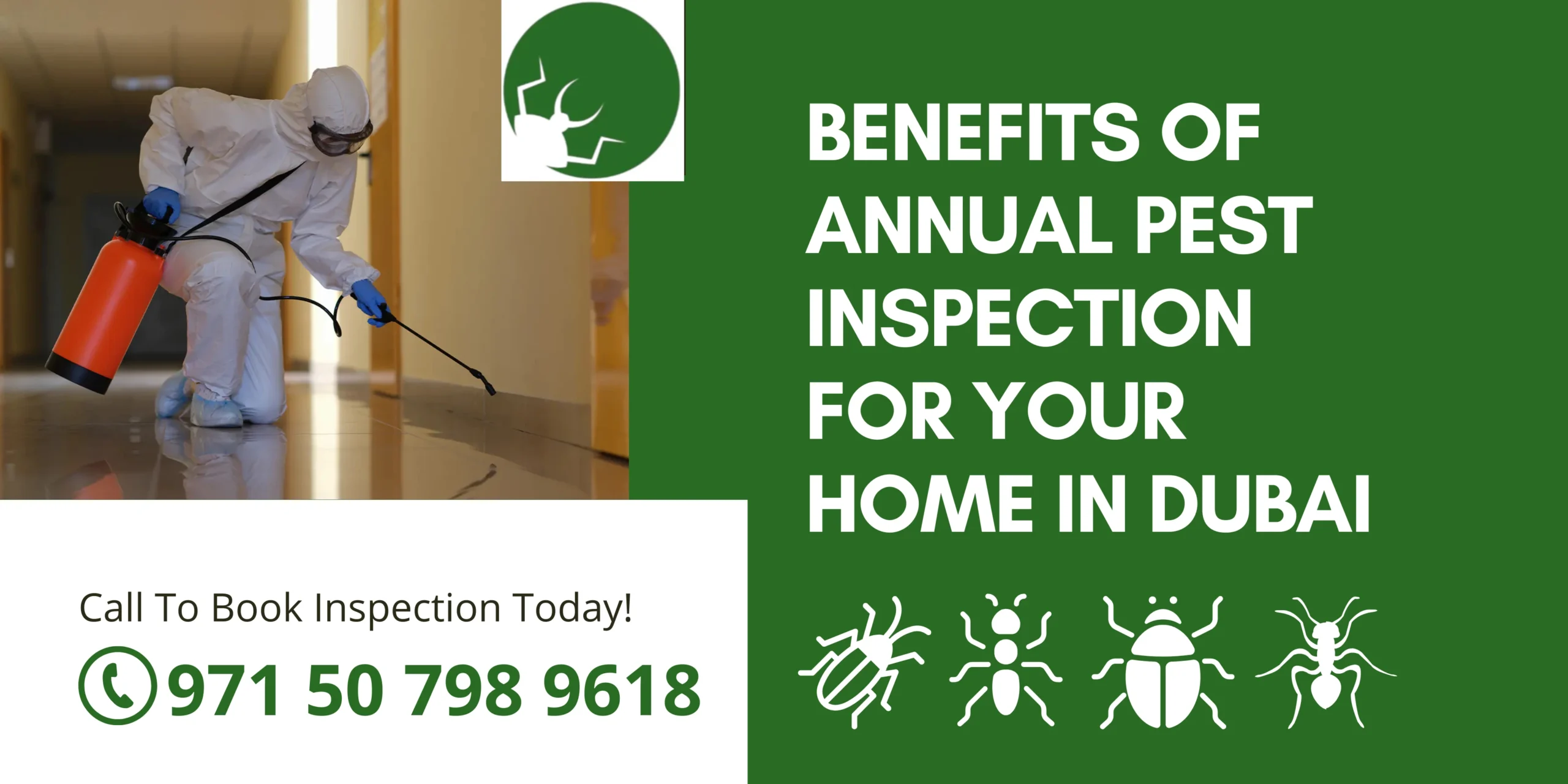 Benefits of Annual Pest Inspection for Your Home in Dubai