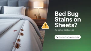 Bed Bug Stains on sheet